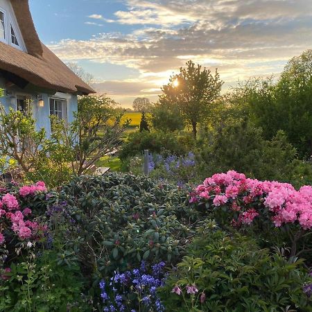 Reethaus Vilmnitz - Ferienwohnung Goor Экстерьер фото
