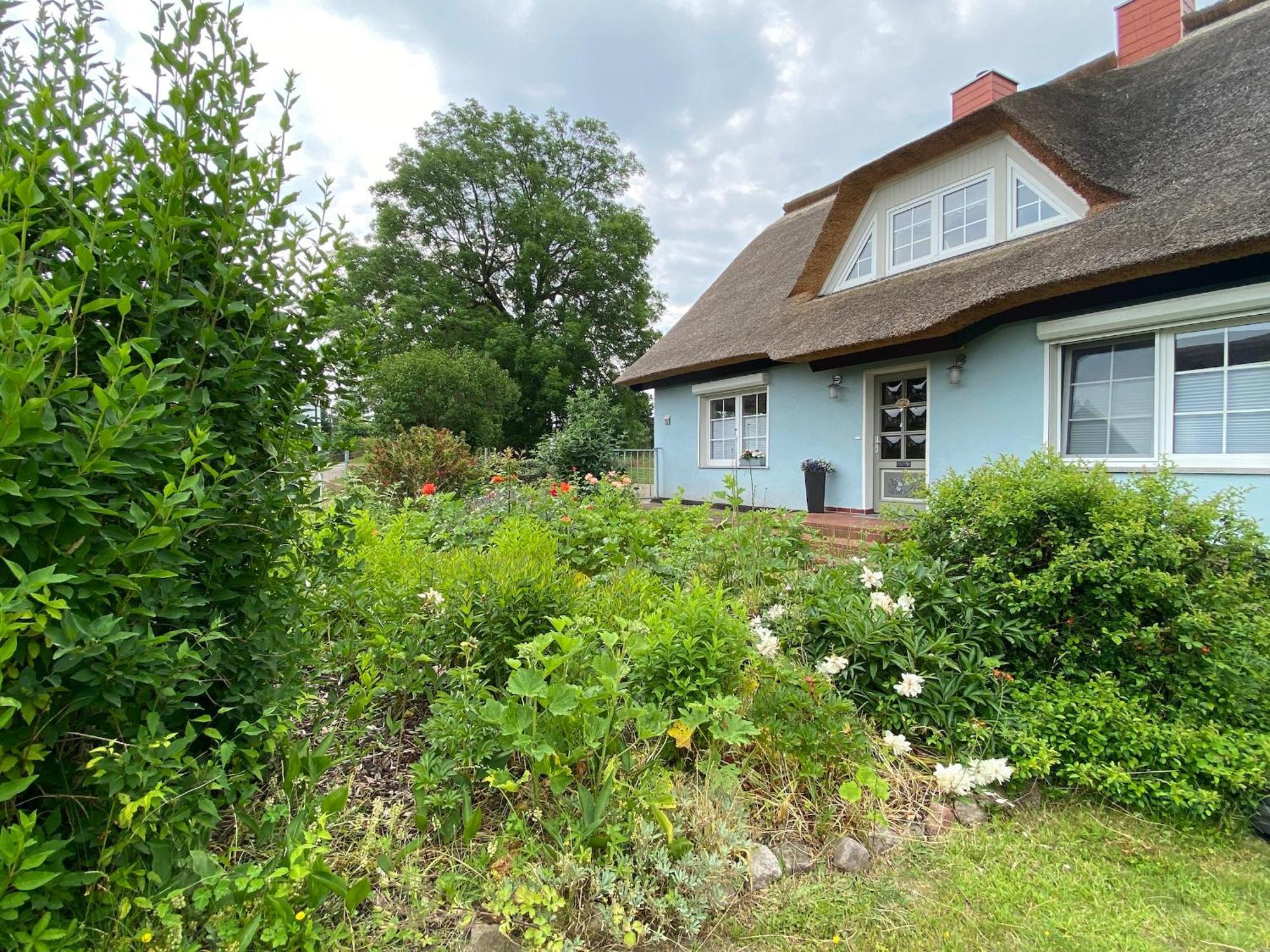 Reethaus Vilmnitz - Ferienwohnung Goor Экстерьер фото
